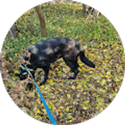 Profile photo of Kush Toker420