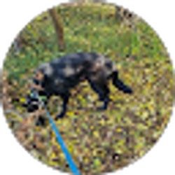 Profile photo of Kush Toker420