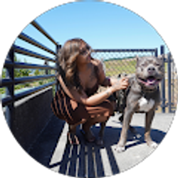 Profile photo of Malakai Phothivongsa