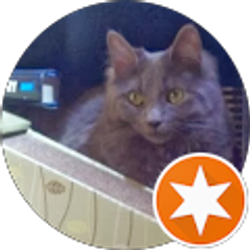 Profile photo of Kim Joins