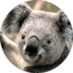 Profile photo of TJ C