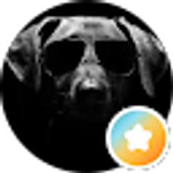 Profile photo of Brian M.