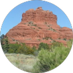 Profile photo of Linda Calkins