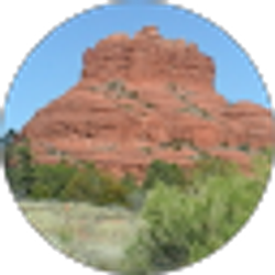 Profile photo of Linda Calkins