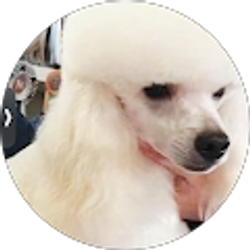 Profile photo of Barbie