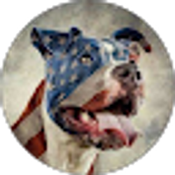 Profile photo of Keaton Trent