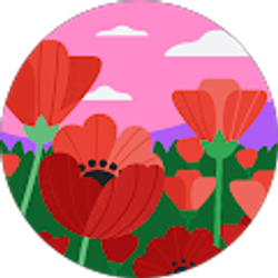 Profile photo of Shantel Collins