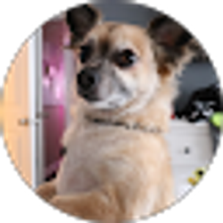 Profile photo of Kelsey Verdi