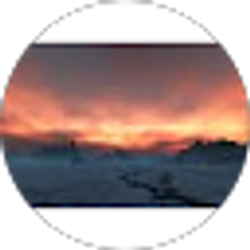 Profile photo of Joel Rogers