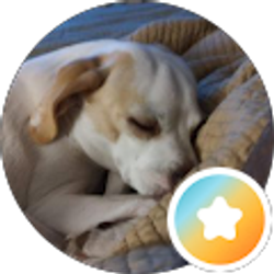 Profile photo of Ganns