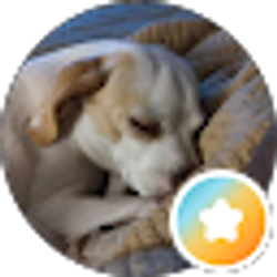 Profile photo of Ganns