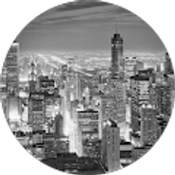 Profile photo of Sonya J