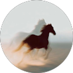 Profile photo of Jakhon Azizkulov