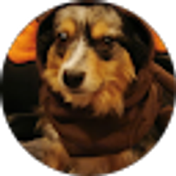 Profile photo of Cheryl Glace