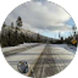 Profile photo of Michael Stemwedel