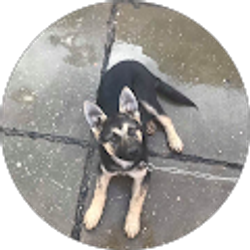 Profile photo of us victory