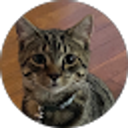 Profile photo of Susie Bleicher