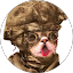 Profile photo of Jojee