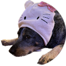 Profile photo of Hunter Aversa