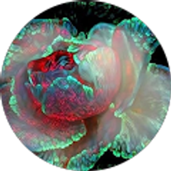 Profile photo of Nicole L