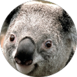 Profile photo of Rosendo Perez