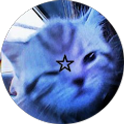 Profile photo of meow
