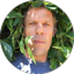 Profile photo of Steve JSH