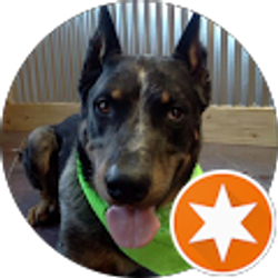 Profile photo of Jack Jones