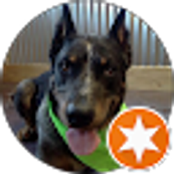 Profile photo of Jack Jones