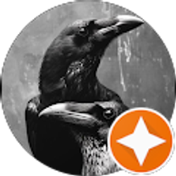 Profile photo of Anessa