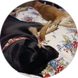 Profile photo of A.D. Westwood