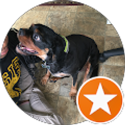 Profile photo of lashay Davis