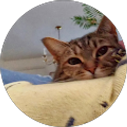 Profile photo of Heather A Ofsiany