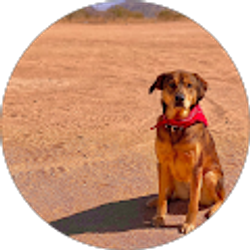 Profile photo of jenna Battaglini