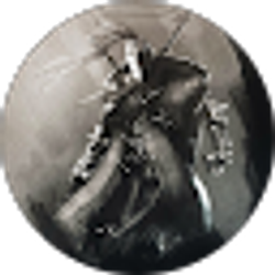Profile photo of George Yang