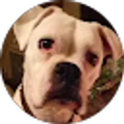 Profile photo of bonnie lyons
