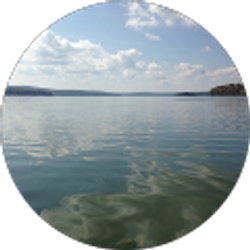 Profile photo of Joey G