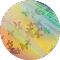 Profile photo of Heather Sexton