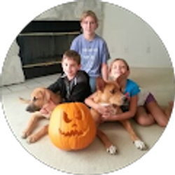 Profile photo of Alan Aiton