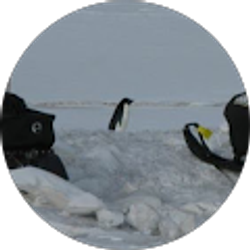 Profile photo of Mils Lamb