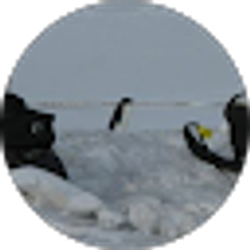 Profile photo of Mils Lamb