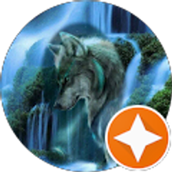 Profile photo of Wolf Stonich