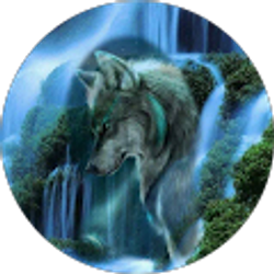 Profile photo of Wolf Stonich