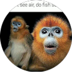 Profile photo of Meadow Gray