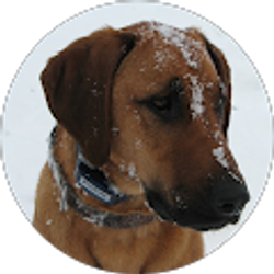 Profile photo of Terry OBrien