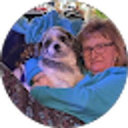 Profile photo of Connie Wood