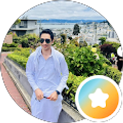 Profile photo of Sayed J. Sadat