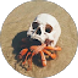 Profile photo of Seth H