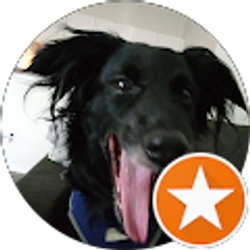 Profile photo of Richard Dyal