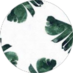 Profile photo of Allison deckinga